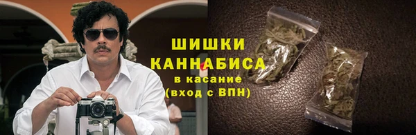 прущие грибы Балабаново