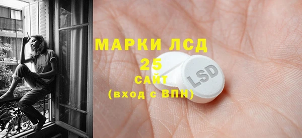 прущие грибы Балабаново