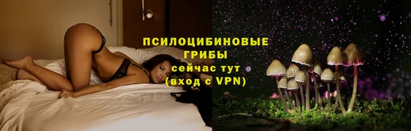 крисы Каменногорск