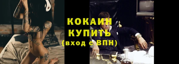 Альфа ПВП Каменка