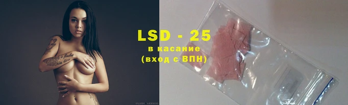 прущие грибы Балабаново