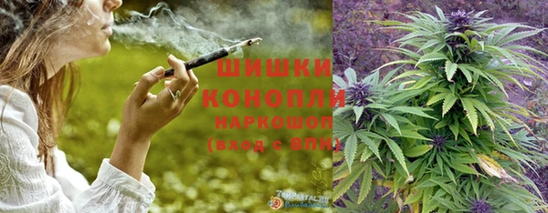 прущие грибы Балабаново