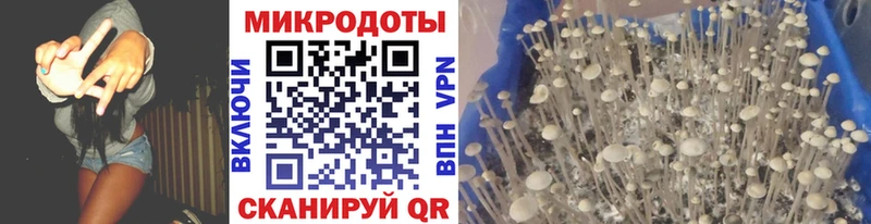 что такое   Вичуга  Галлюциногенные грибы ЛСД 